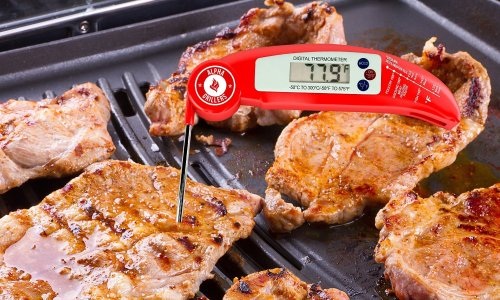 Meat Thermometer